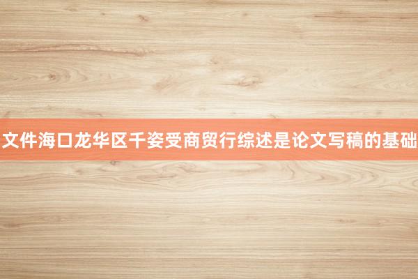 文件海口龙华区千姿受商贸行综述是论文写稿的基础